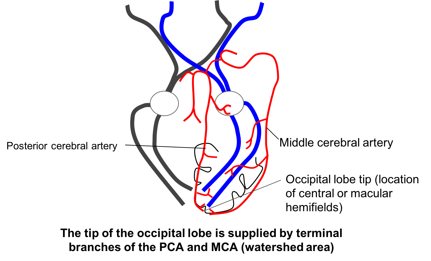 Pasted image 20250311090748.png