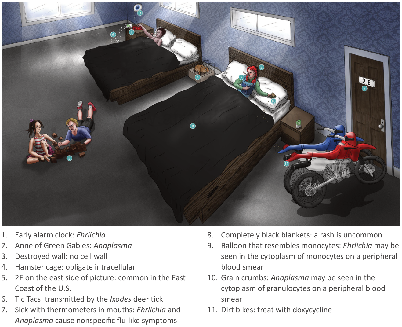 Pasted image 20250329092935.png