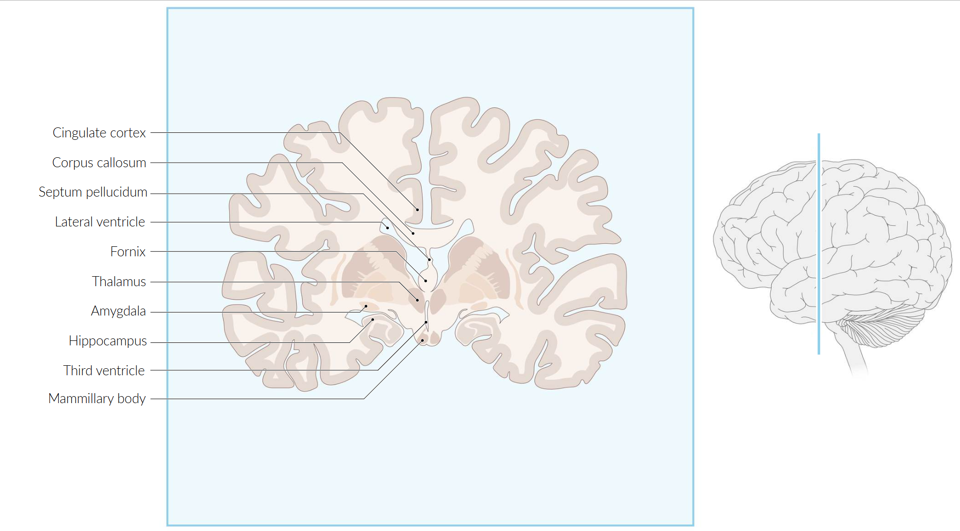 Pasted image 20250409113731.png